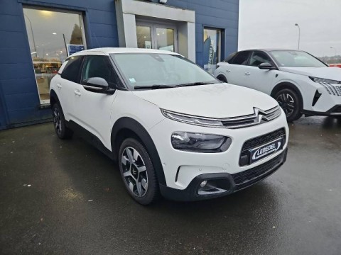 CITROEN C4 Cactus BlueHDi 100ch S&S Feel E6.d